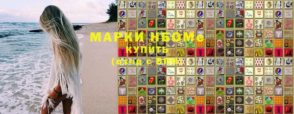 мдпв Инсар