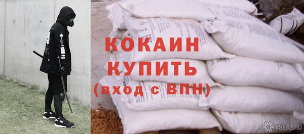 мдпв Инсар