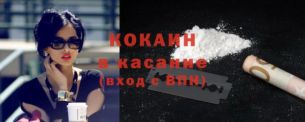 дурь Инта