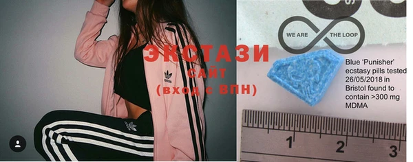 мдпв Инсар