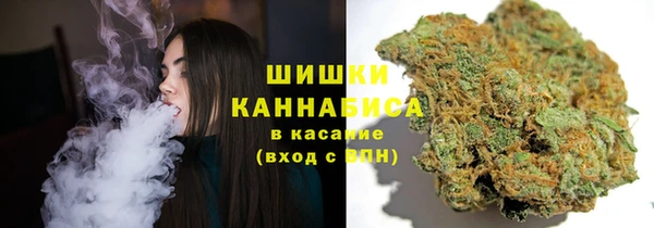 дурь Инта