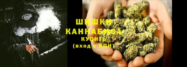 дурь Инта