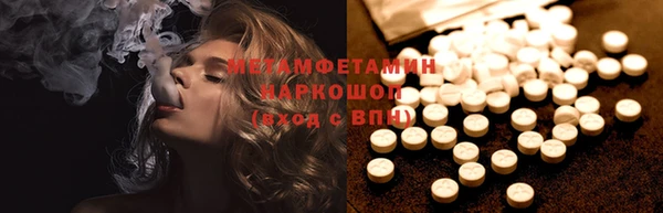 мдпв Инсар