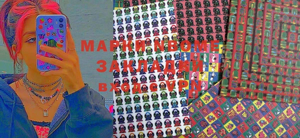 дурь Инта