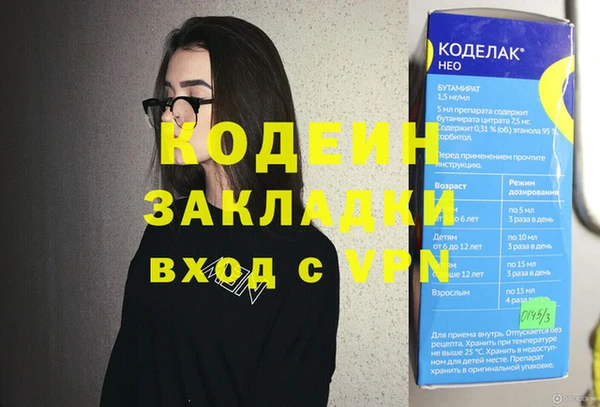 дурь Инта