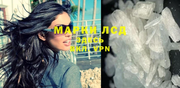 мдпв Инсар