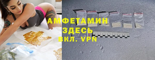 мдпв Инсар