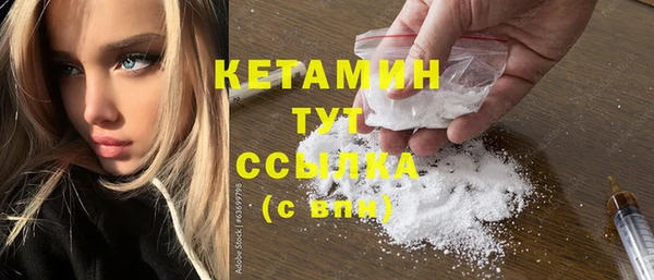 мдпв Инсар