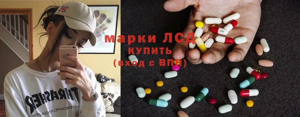 мдпв Инсар