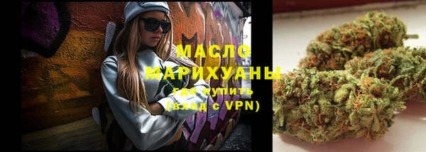 мдпв Инсар
