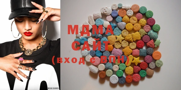 мдпв Инсар