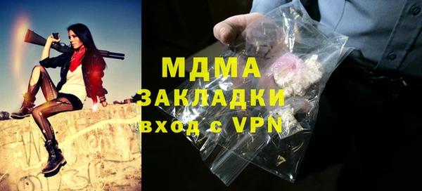 мдпв Инсар