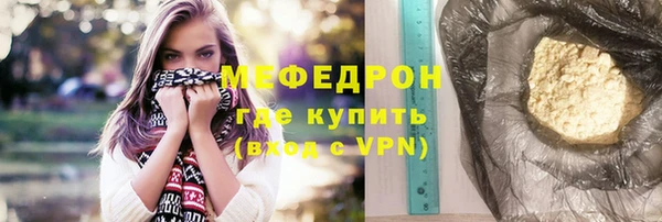 мдпв Инсар