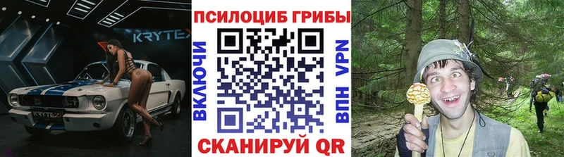Купить закладки  Верхний Уфалей  Галлюциногенные грибы мухоморы 
